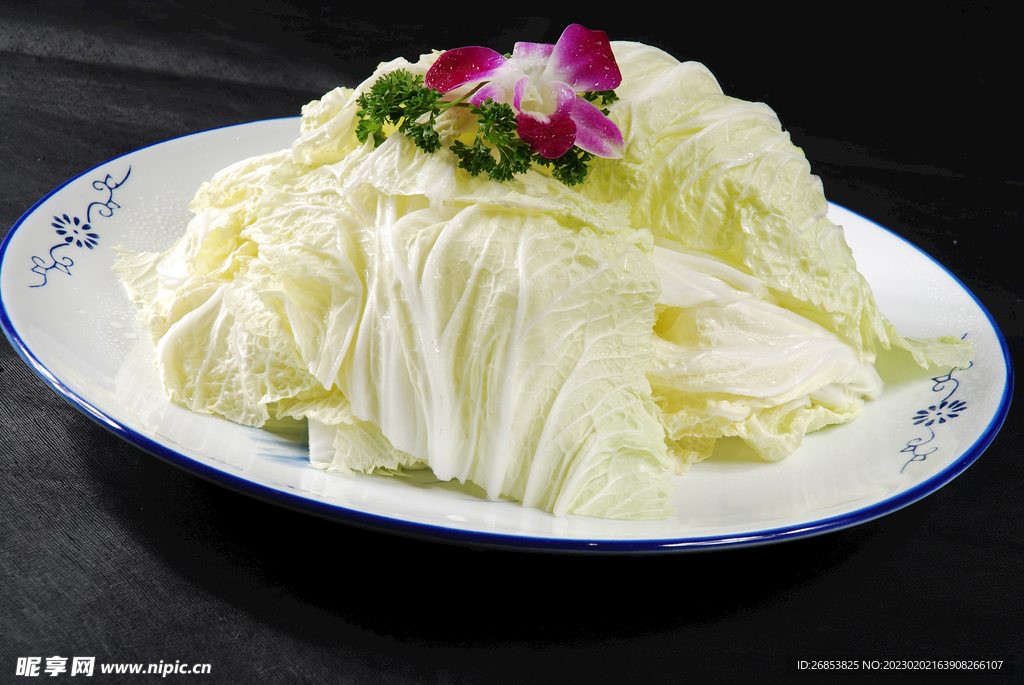 大白菜