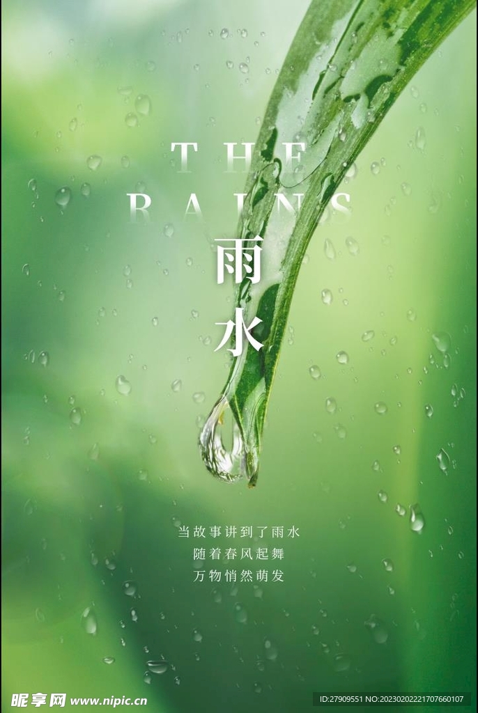 雨水节气