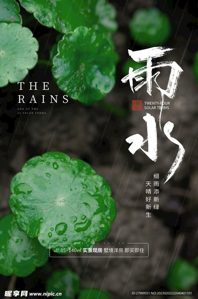 雨水飞机稿