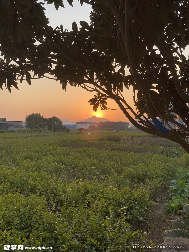 农村傍晚的风景