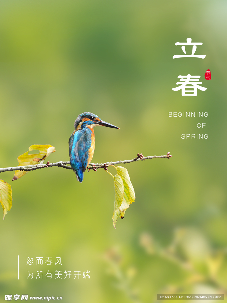 立春