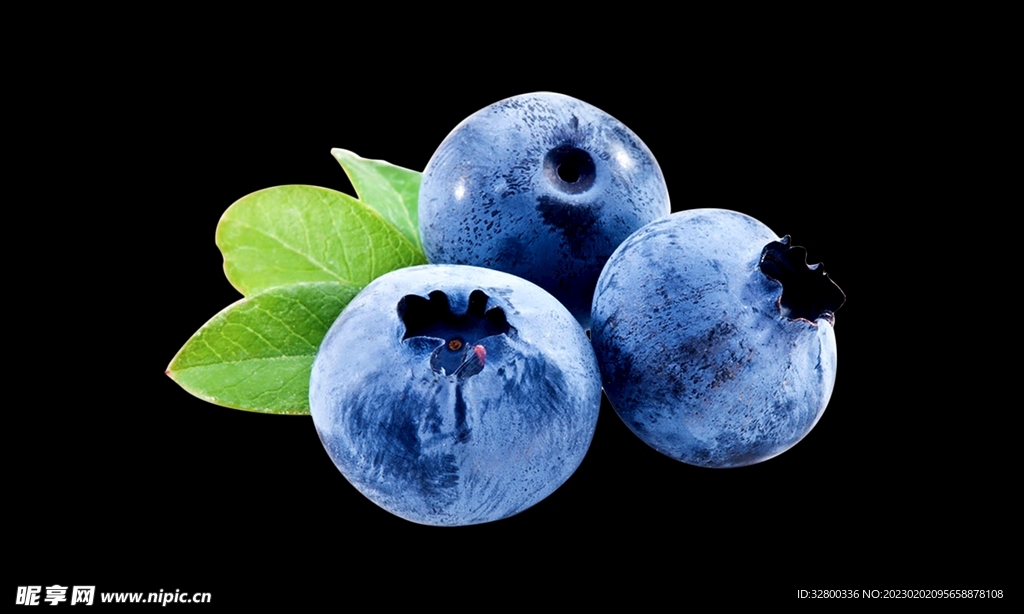 水果素材 蓝莓 免抠图片