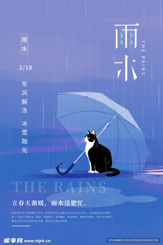 雨水