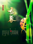 立春