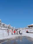 金佛山雪景