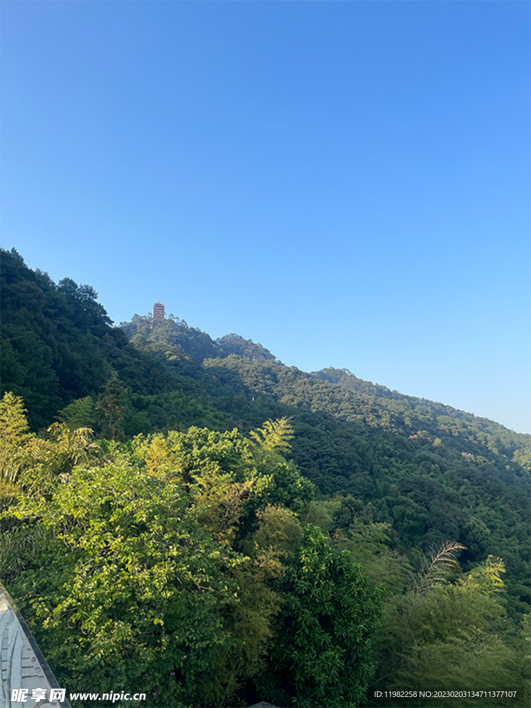 缙云山