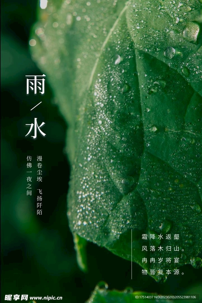 雨水水滴