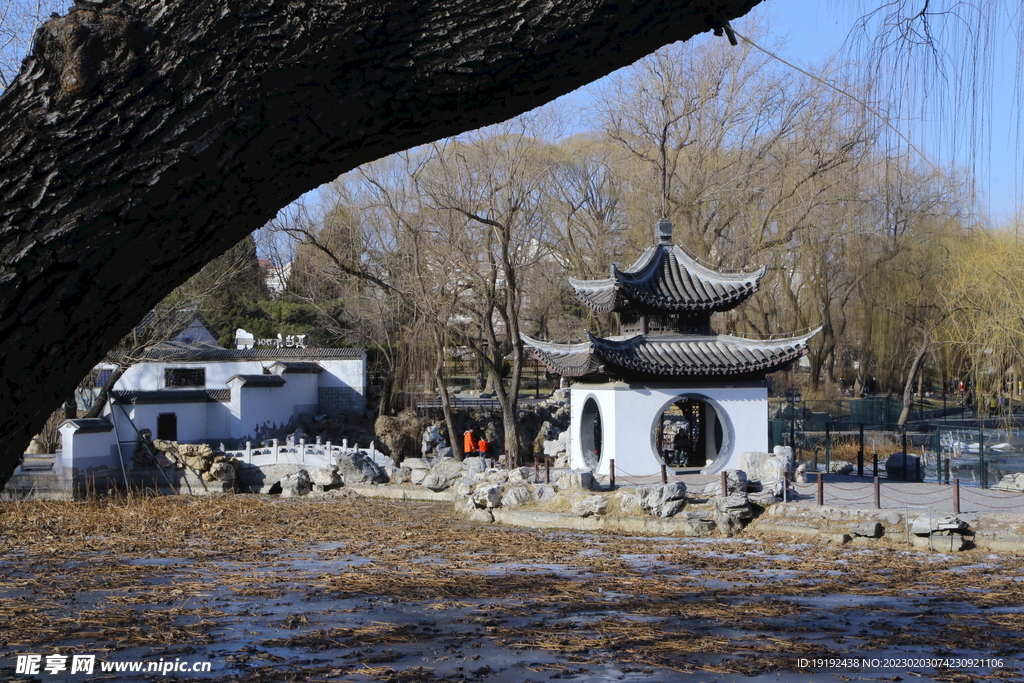 公园风景