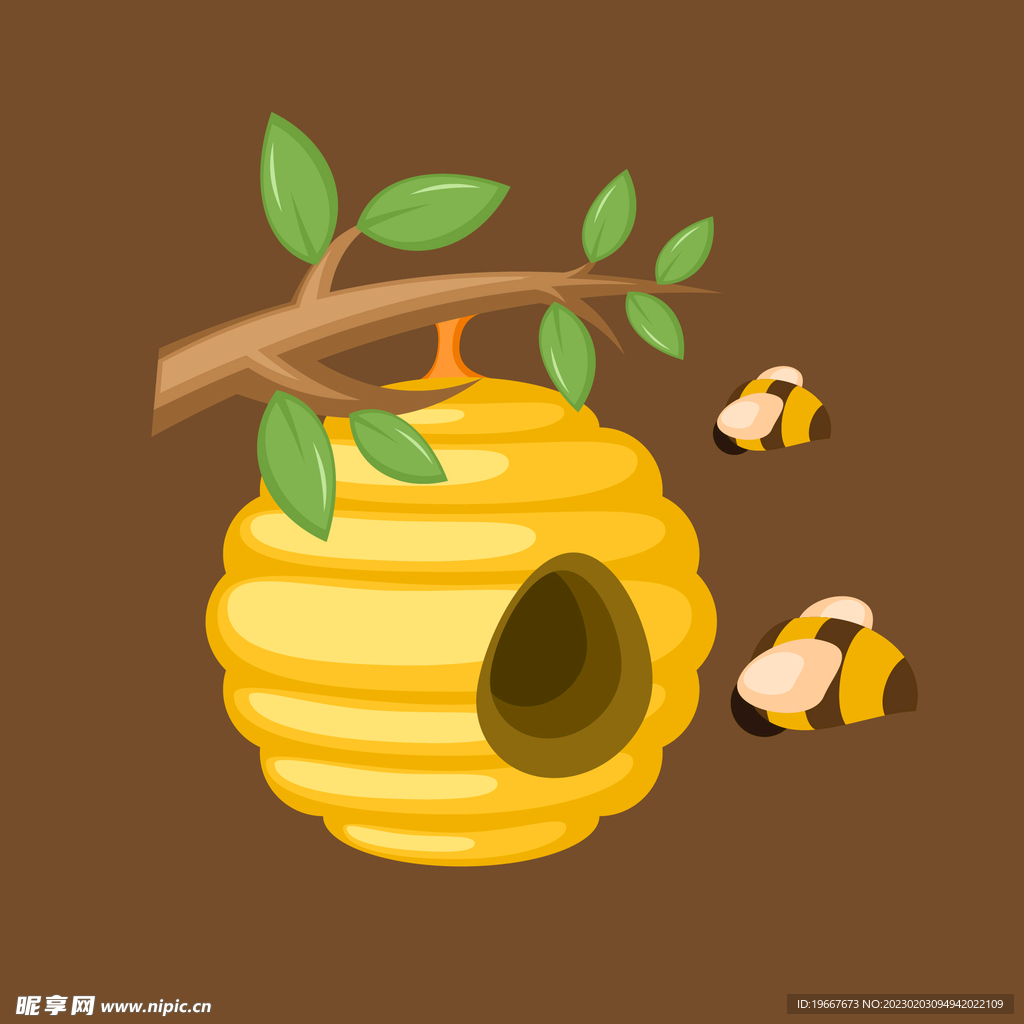 动物  