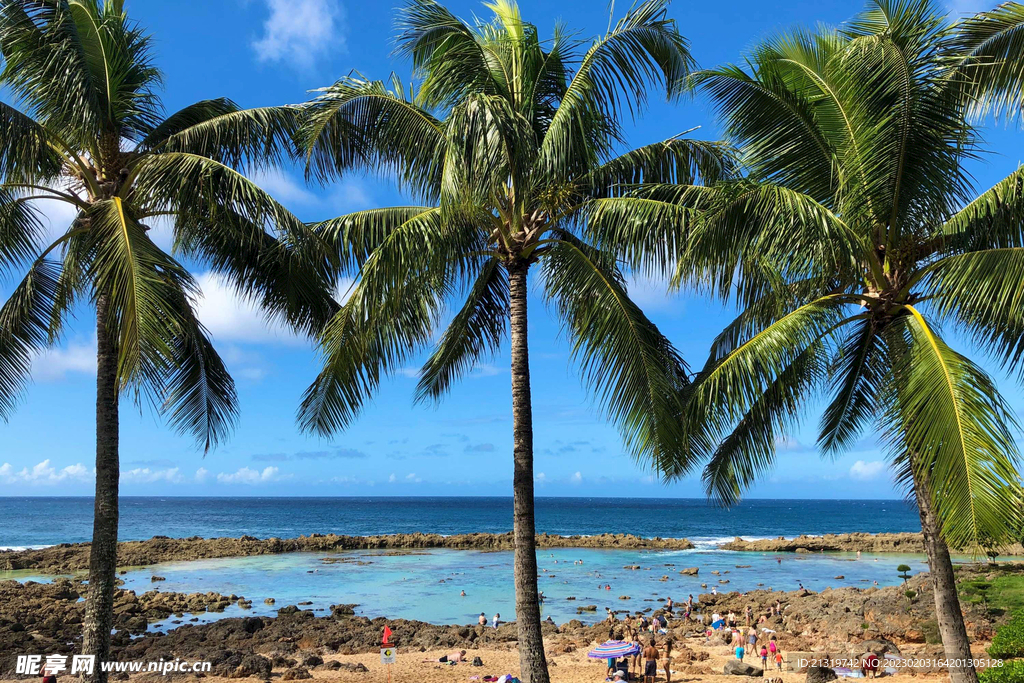 夏威夷海岛摄影