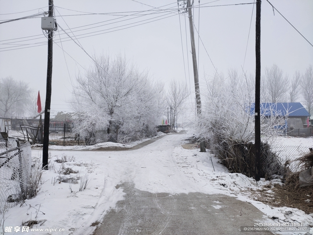东北农村冬天的街道
