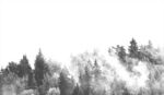 雪景