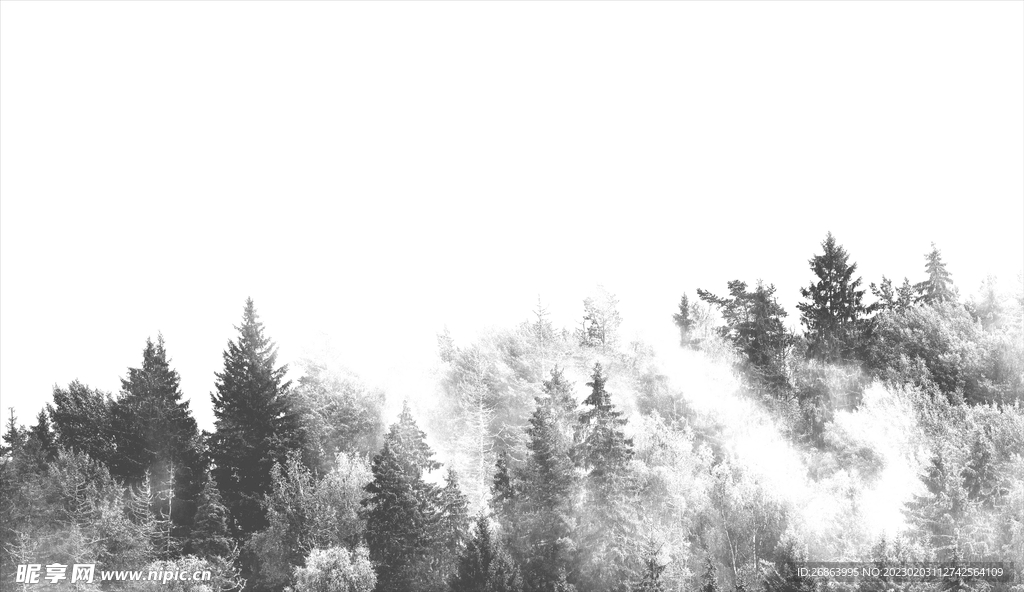雪景