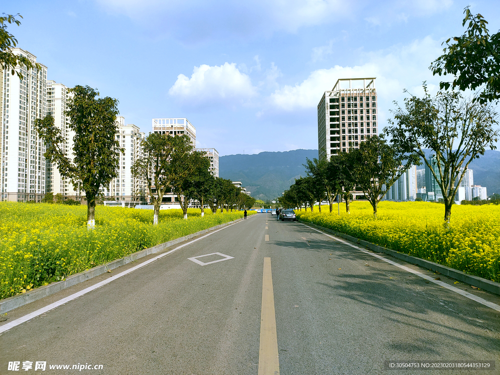 街道美景