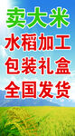 大米海报