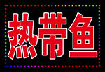 热带鱼