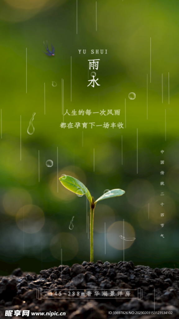 雨水