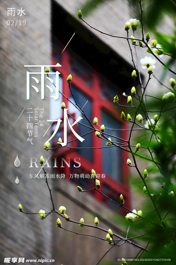 雨水节气海报