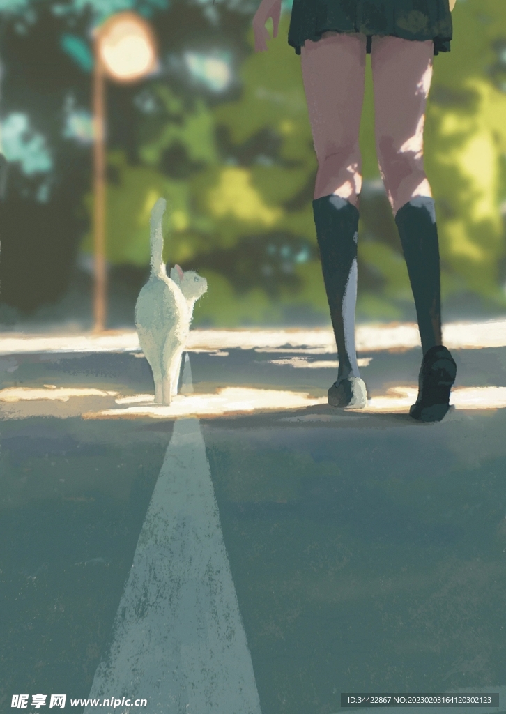 马路上的女孩和白色猫咪