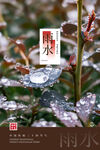 雨水节日节气