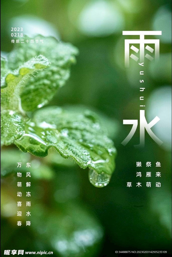 雨水海报