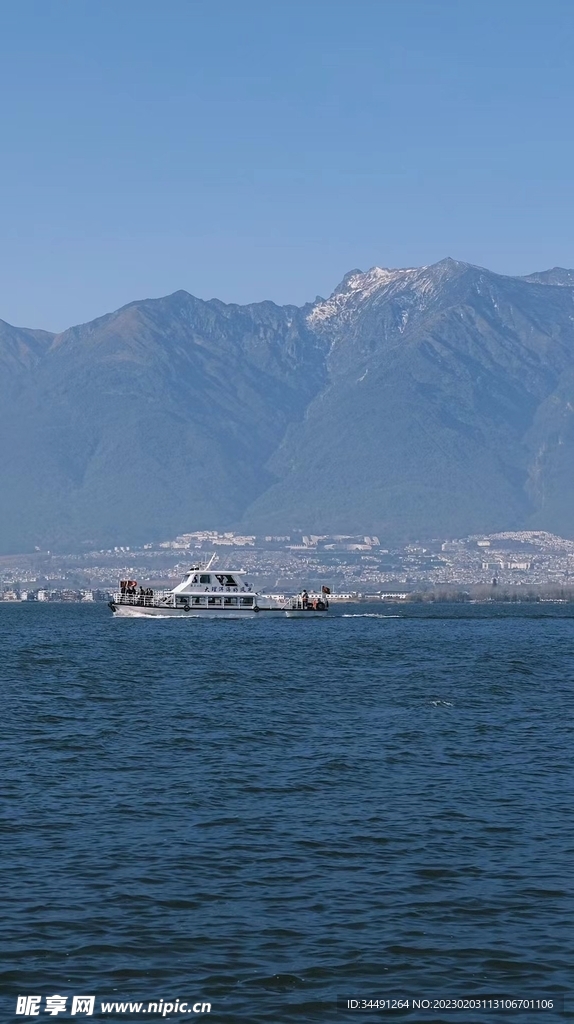 天水共一色，鱼跃悠悠长夏