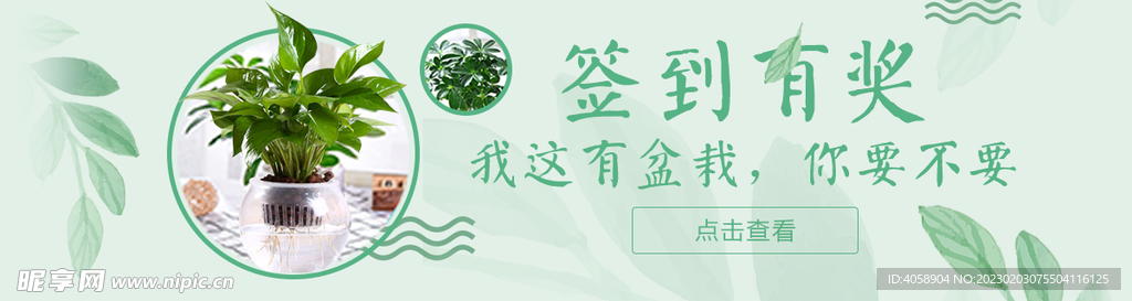 签到有奖