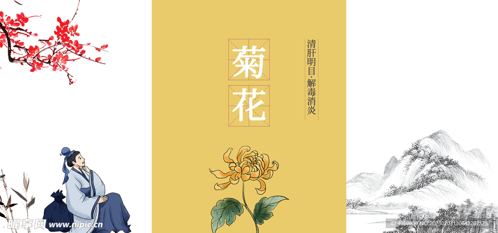 菊花