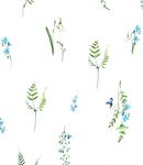 高清数码花