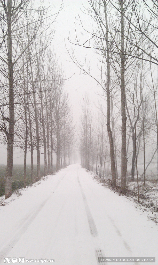 雪路