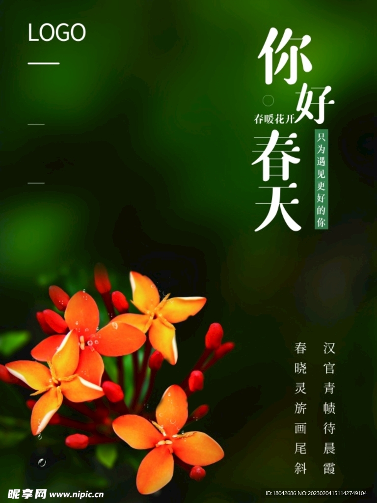 广告海报