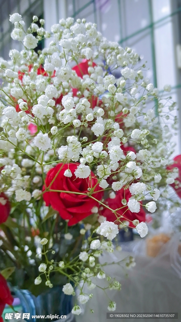 玫瑰花