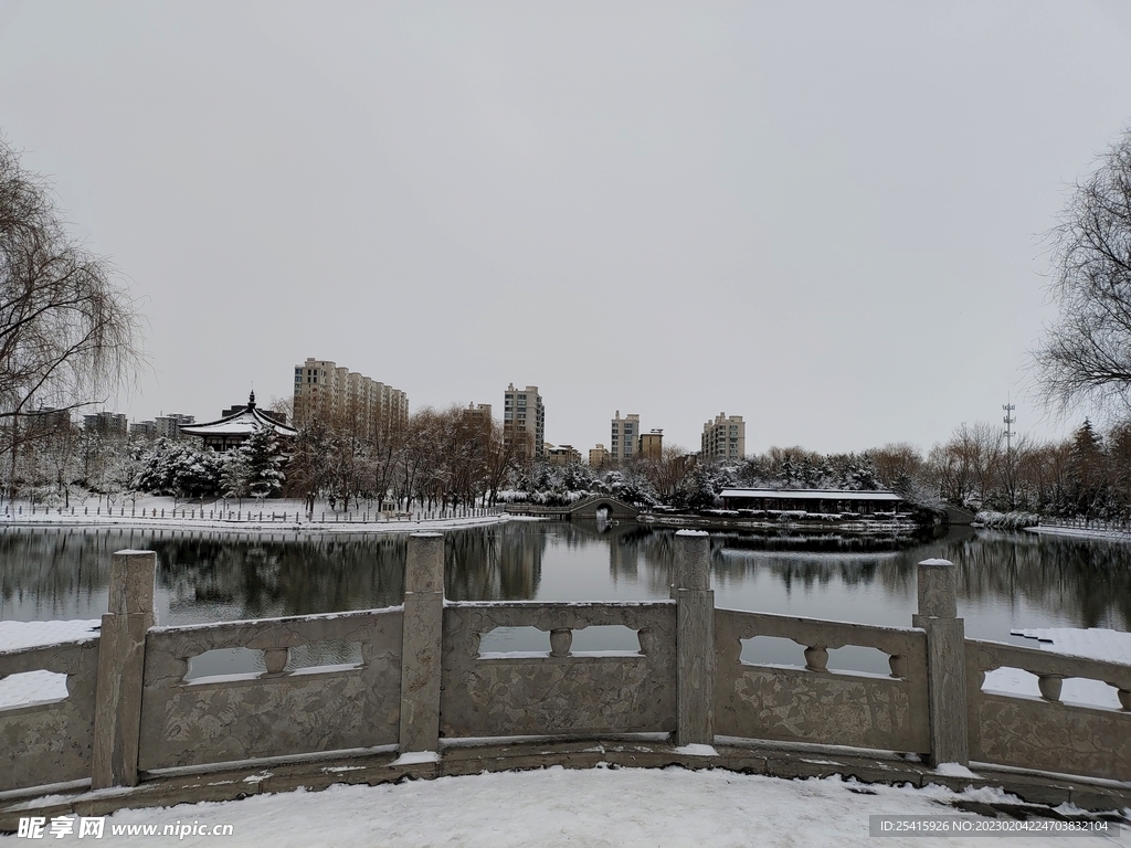 雪景
