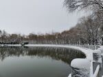 雪景