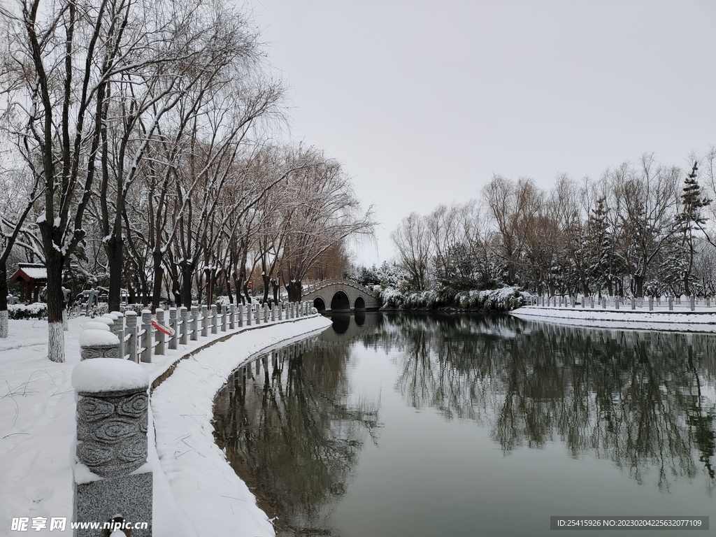 雪景