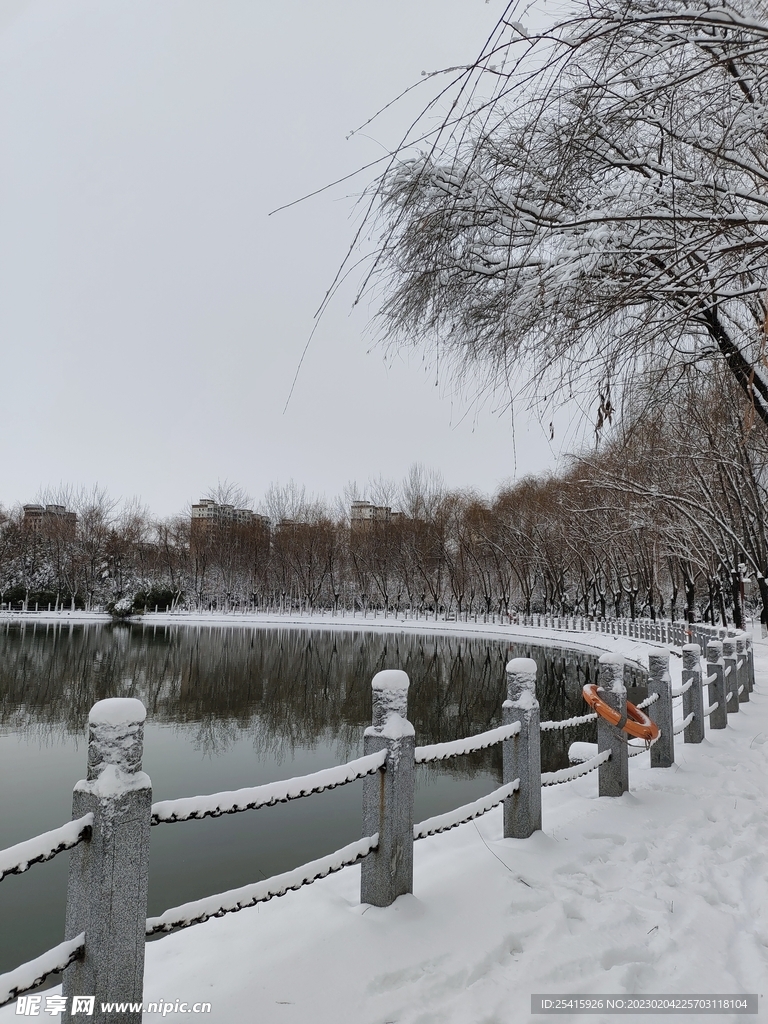 雪景