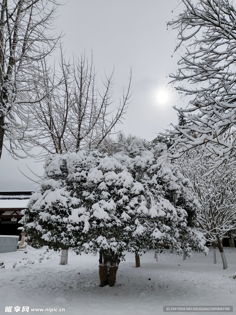 雪景