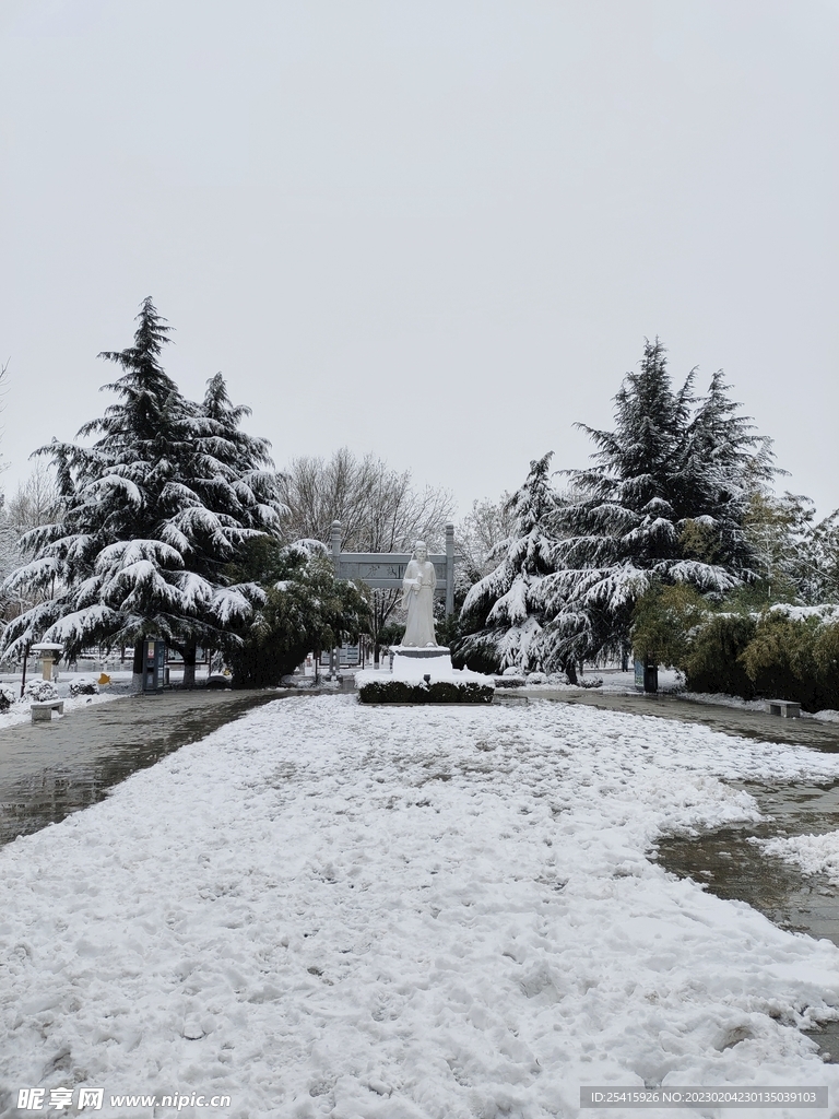 雪景