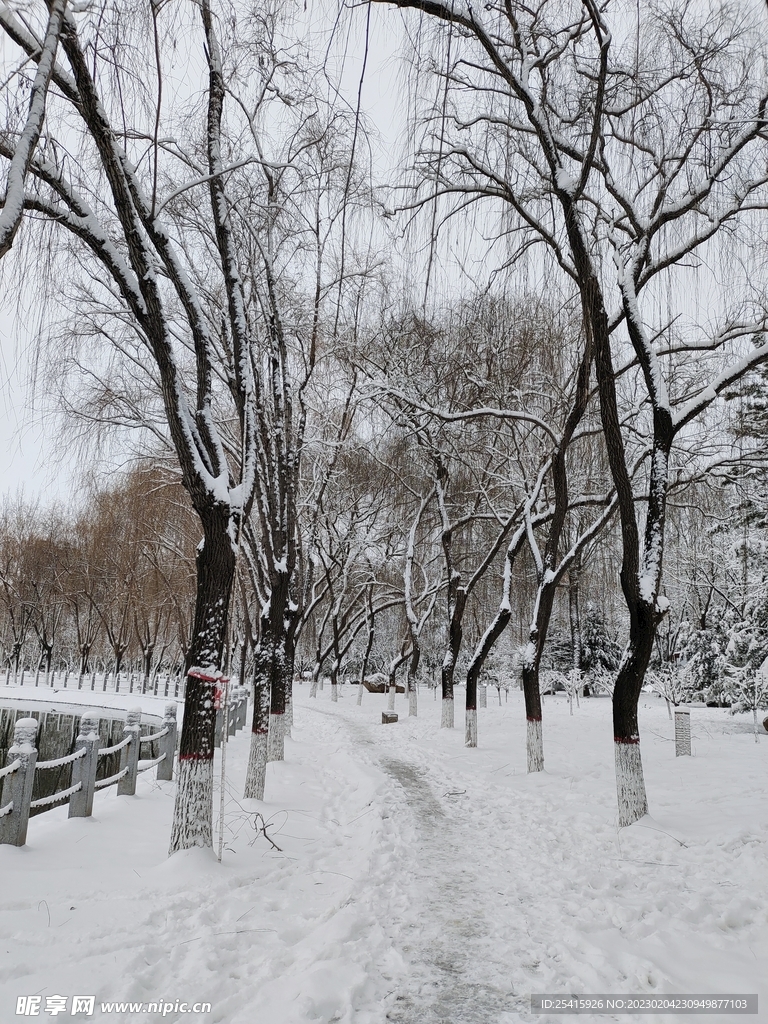 雪景