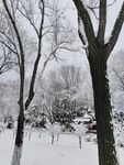 雪景