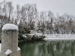 雪景