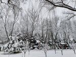 雪景