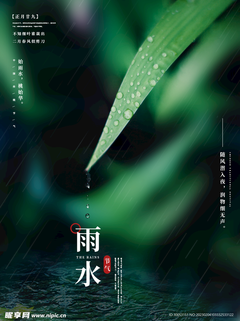 雨水节气海报