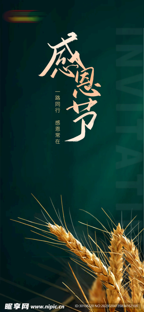感恩节海报
