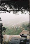 乡村景色 