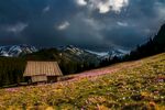 乡村景色 