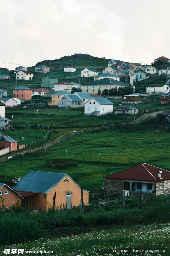 乡村景色