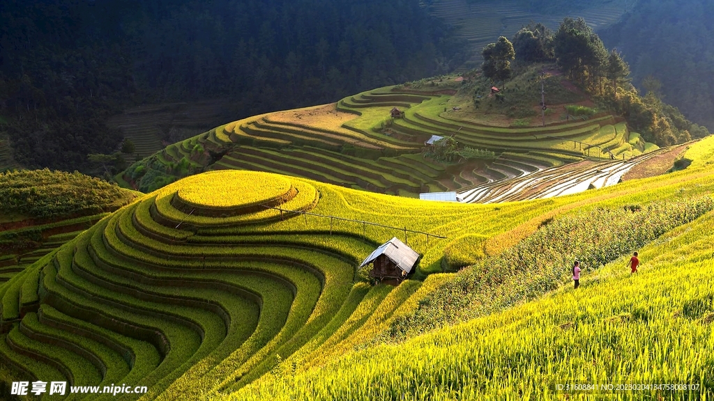 乡村景色 