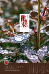 雨水传统节日