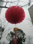 灯笼